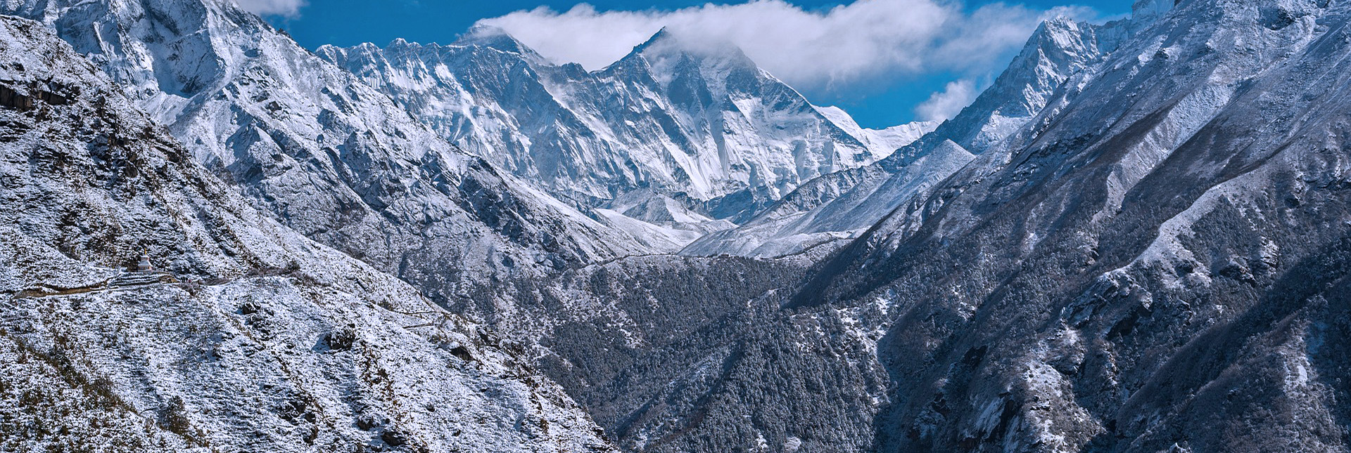 view of snow covered trail